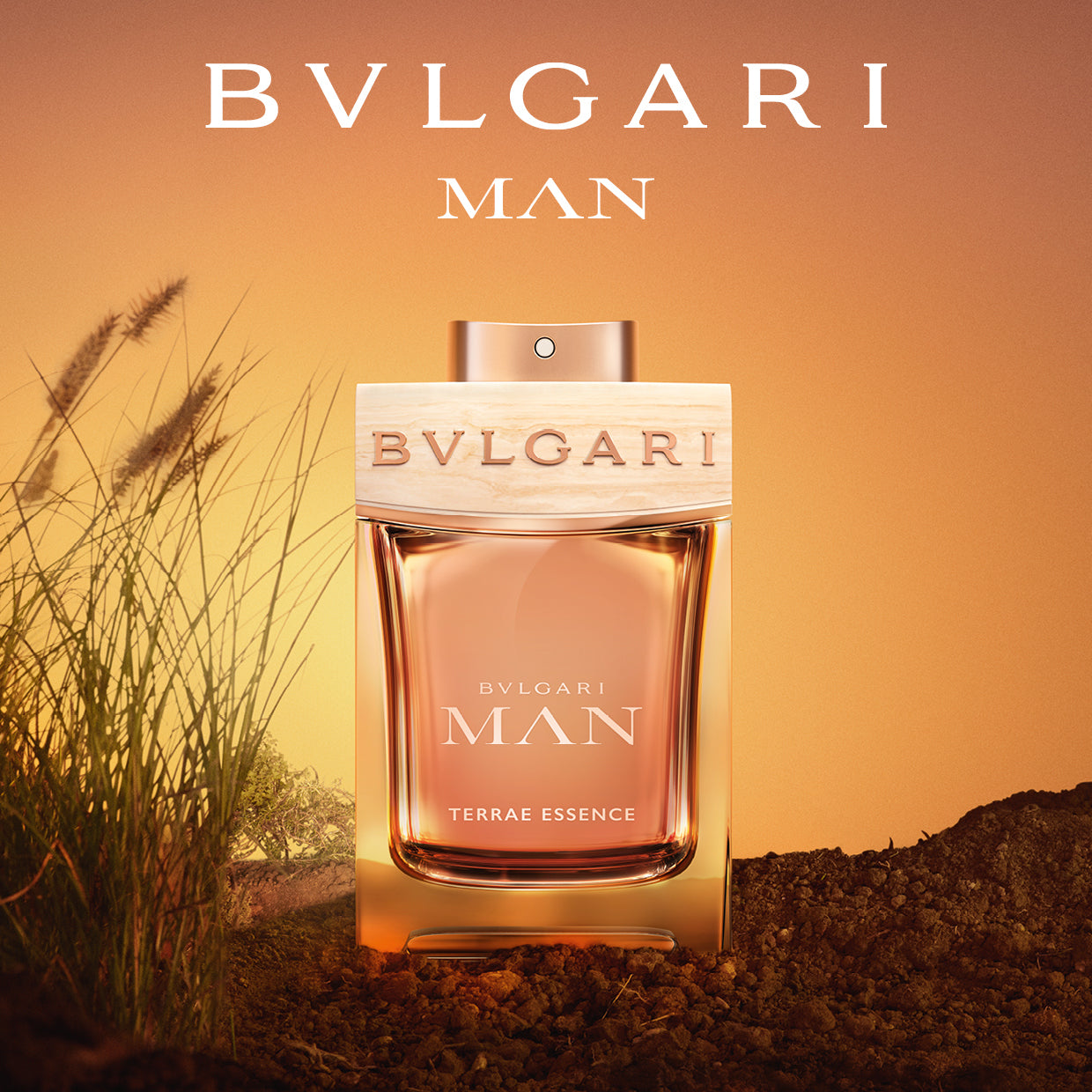 Man Terrae Essence Bvlgari Man Eau de Parfum