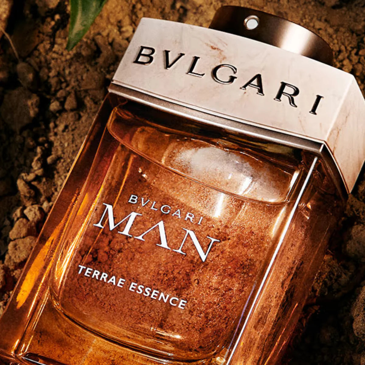 Man Terrae Essence Bvlgari Man Eau de Parfum